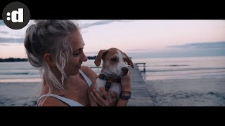 Lucas Estrada x Alex Alexander - Mexico (Official Music Video)