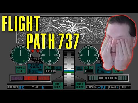 Flight Path 737 picture