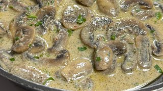 EASY MUSHROOM MILK SAUCE  RECIPE FOR EVERYTHING | SIMPLE AND DELICIOUS ALL PURPOSE SAUCE