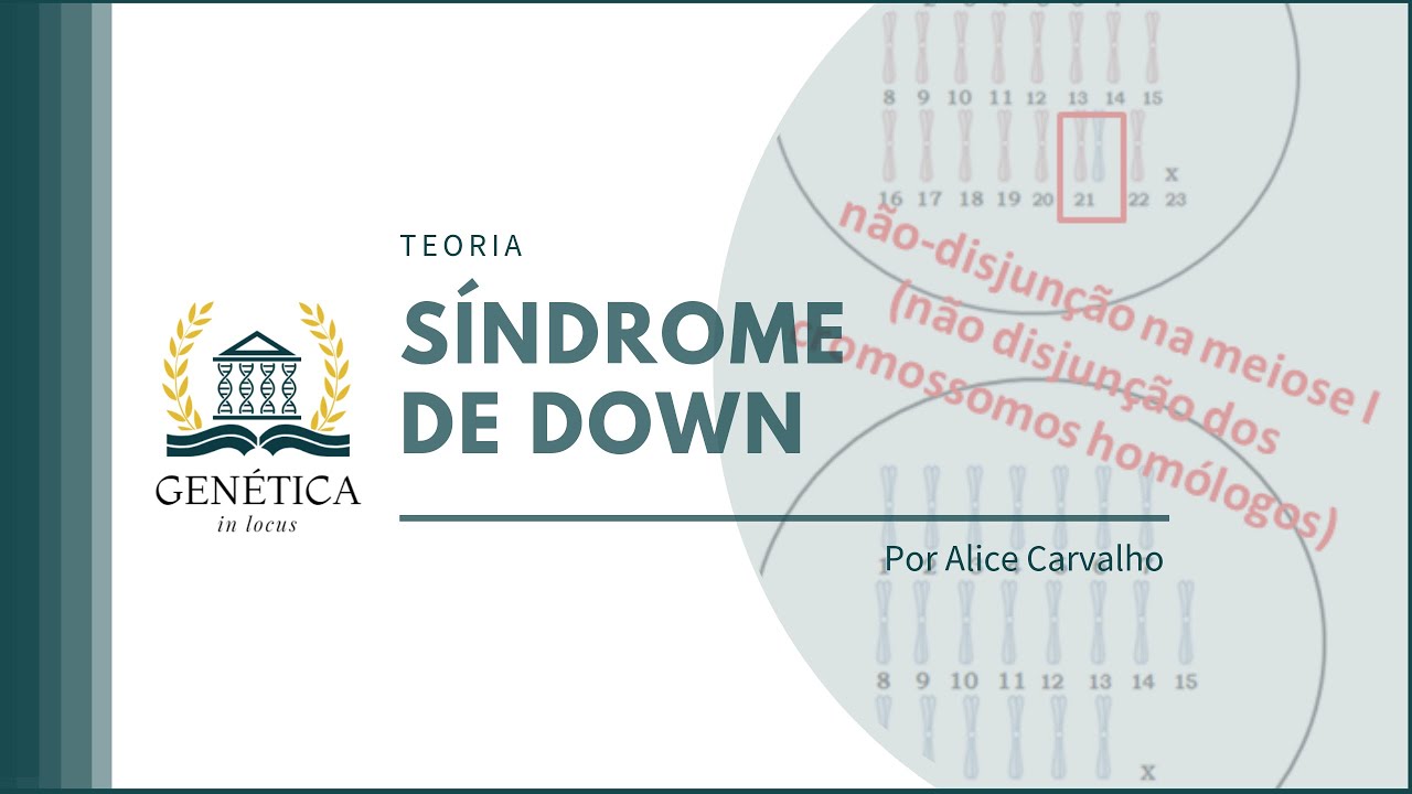 Teoria: Síndrome de Down