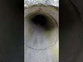 Pennywise found in storm drain?!? 😱