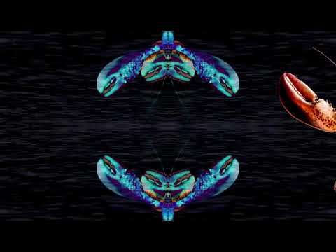 Music Mix by Lobster - Volume 13 (Vocals Mix)