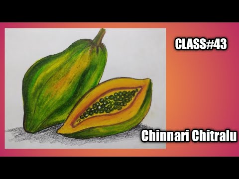 Step by Step Drawing||Fruits||How to draw a Papaya