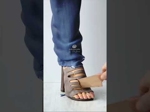 Every thing is cake!