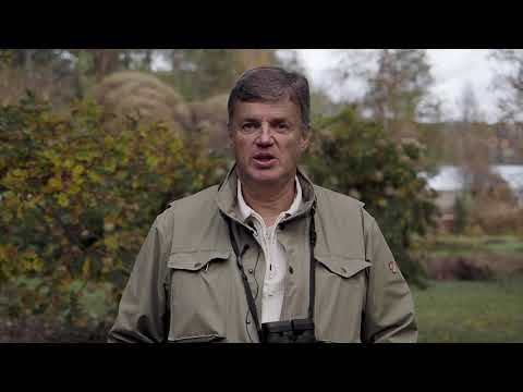 Luontoakateemin luontovirtuoosi Markku Hyvärinen