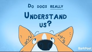 Inside A Dog's Brain: Do Dogs Really Understand Us?