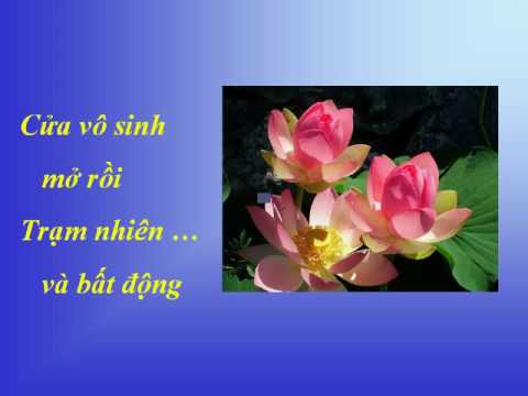 Thể hiện bởi Trung Hậu