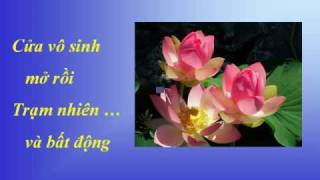 VỮNG CHÃI THẢNH THƠI - Nhạc Võ Tá Hân - Thơ Thích Nhất Hạnh