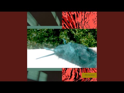 Video thumbnail for GRAVE WITHIN A GRAVE