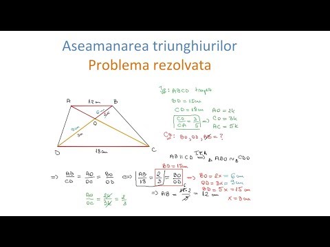 Similar Triangles - Solved Problem (Grade 7)