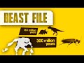 Meet the Cockroach: Nature's Perfect Creature : The Beast File