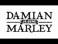 Damian Marley ft Stephen Marley - The Mission (lirik)