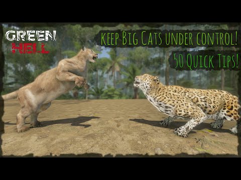 50 Tips For Complete Beginners! | Green Hell