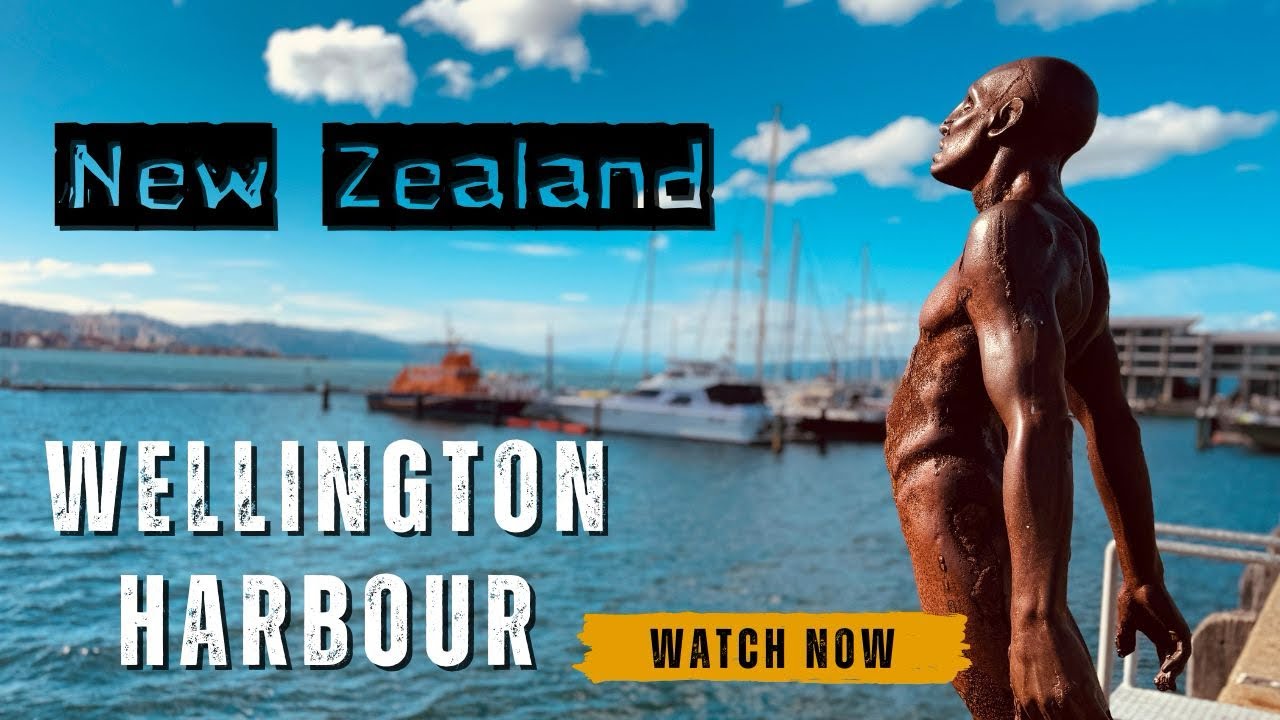 Experience a virtual stroll around Wellington Harbour.