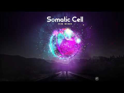 Somatic Cell - Mad Cow In A Cell (2019 Edit)