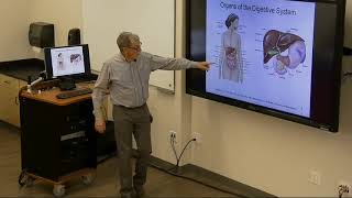 CH 11  Digestive System