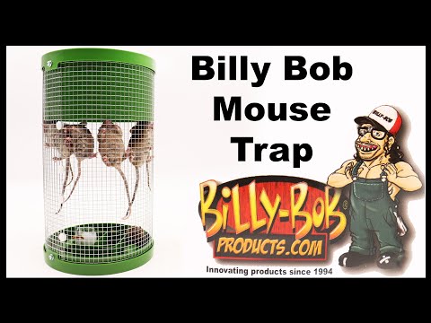 BILLY - BOB Mouse Trap. Multi-Catch Live Trap Perfect for Vehicles and Small Spaces Mousetrap Monday