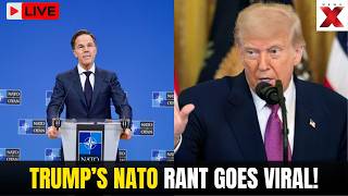 Trump LIVE: “Paper Tiger!” Trump BLASTS NATO, Hints at SHOCK Exit After Iran War 