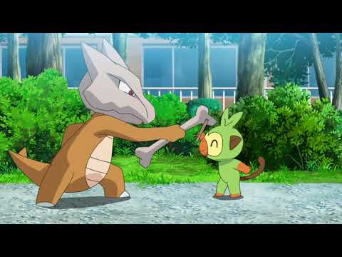 Pokemon Journeys Grookey Play's With Marowak
