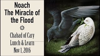 Noach &amp; The Miracle of the Flood