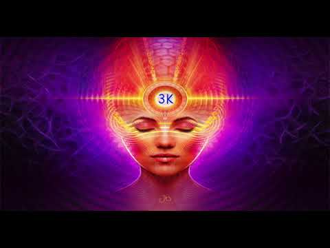 Abdullah Siddiqui, Shamoon Ismail, - Kids (3k BOOSTED)