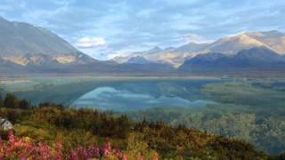 Cowboy Junkies ~ My Wild Child (2004)