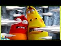 Larva Terbaru 2025 Cobalah Untuk Melarikan Diri Dari Jebakan Kartun Lucu Video