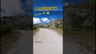 Grupo Laberinto - Y voló, voló