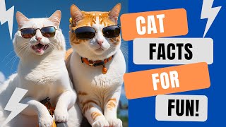 Welcome to Cat Facts For Fun: Your Purr-fect Cat Channel! | Channel Trailer #cat #catfacts