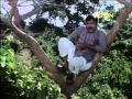 Debasish Mohapatra & Trupti Das sings 'Kanchi Kanchi Kanchana...' in Odia Movie 'Hira Nila' Debasish Mohapatra & Trupti Das sings 'Kanchi Kanchi Kanchana...' in Odia Movie 'Hira Nila'