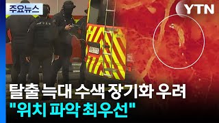 탈출 늑대 수색 장기화 우려...위치 파악 최우선 / YTN