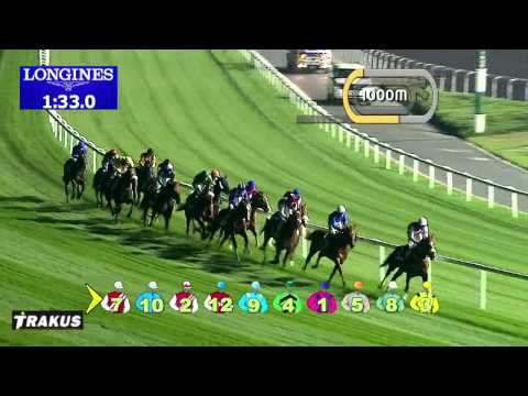 23.01.2014 Meydan (Dubai-UAE) 2.Race GN Focus - Handicap 2.435 m