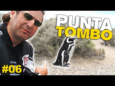 Dinossauros e Pinguins - Ushuaia de Moto em 2012 - EP06 - Guga Dias
