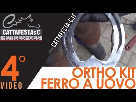 Ferri di cavallo ortopedici, parte 4