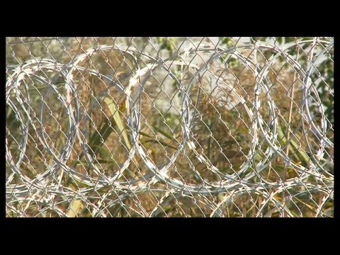 Hungary-Serbia border closed : Europe MUST adopt a Common asylum policy