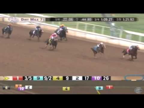 31.10.2014 Santa Anita Park (USA) 7.Race Breeders' Cup Juvenile Turf  - Group I 1.609 m