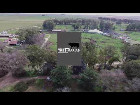 Remate 2020- Cabaña Tres Marias