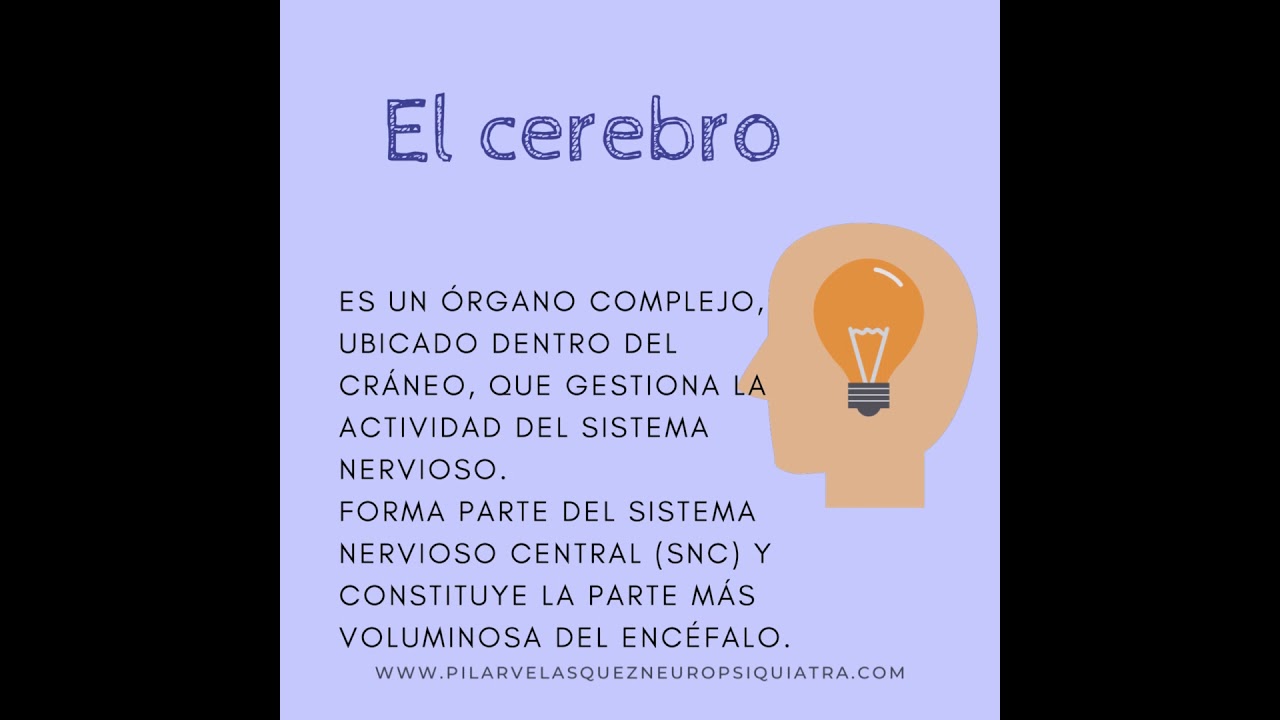 Maria Del Pilar Velásquez Duque-2