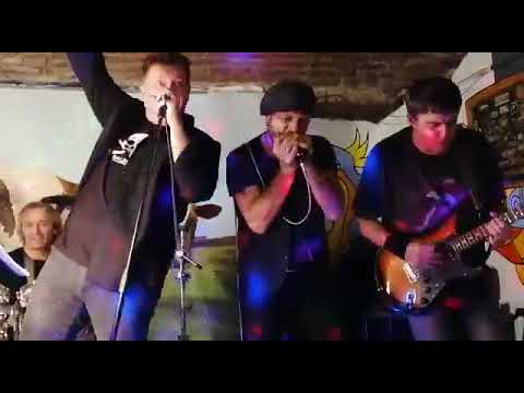 Programma Protezione Testimoni   Qui c'è gente che vuol bere #rock #rock70 #musica #rocknroll