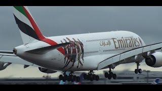 ✈✈ACミラン5選手を描いた特別塗装機が成田にやって来た!!エミレーツ航空EmiratesLanding!!NaritaRWY16R!成田空港さくらの山公園
