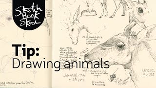 7 free tips on drawing animals