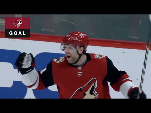 All 14 Phil Kessel Goals in the 2019/20 Season + Playoffs