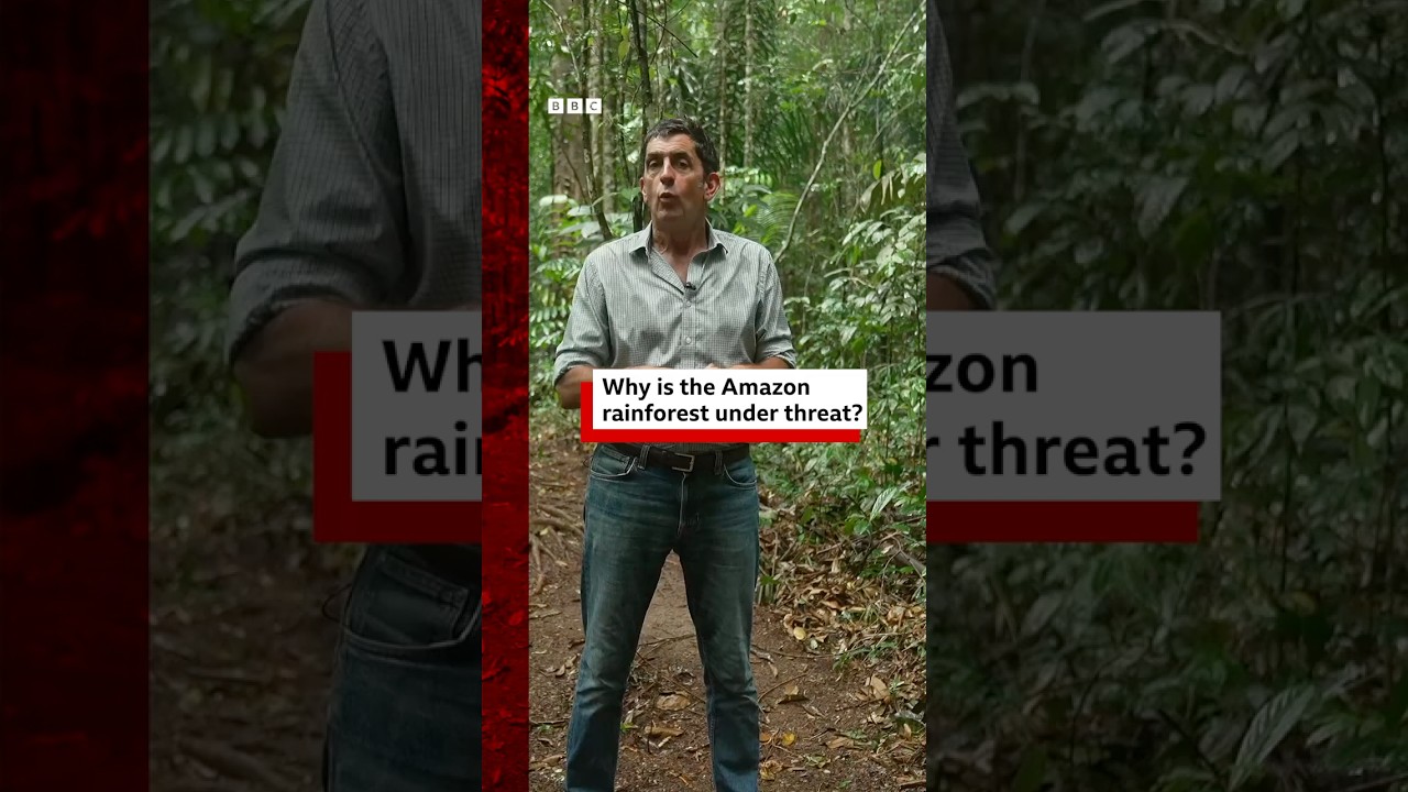 Why is the Amazon rainforest under threat? #Amazon #Rainforest #Brazil #COP30 #BBCNews