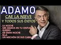 Salvatore adamo - Cae la nieve y todos sus Exitos
