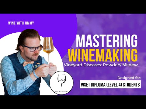 WSET Level 4 (WSET Diploma) Mastering Vineyards Diseases - Powdery Mildew