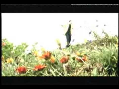 VIDEO - TROPICAL - BANDA FIESTA - FIESTA DEL RECUERDO - FLV