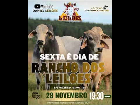 Fazenda Nova  - GO  28/11/2025