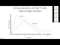 The Complexities of the CAR T Cell: Implications for Clinical Trial Designs