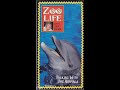 Opening To Zoo Life With Jack Hanna Talking With The Animals 1997 VHS RD