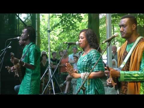 Bassekou Kouyaté - L - LIVE at Afrikafestival Hertme 2013